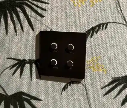 Four small round illuminated switches on a black square plate mounted on patterned wallpaper with palm leaf motifs. Four small round illuminated switches on a black square plate mounted on patterned wallpaper with palm leaf motifs.